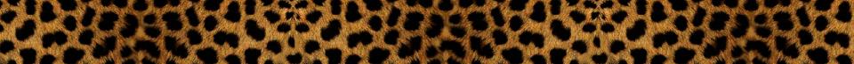 CheetahStripe2