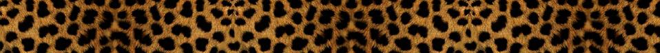 CheetahStripeNew